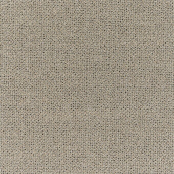 Diva-dis1-203-nebbia